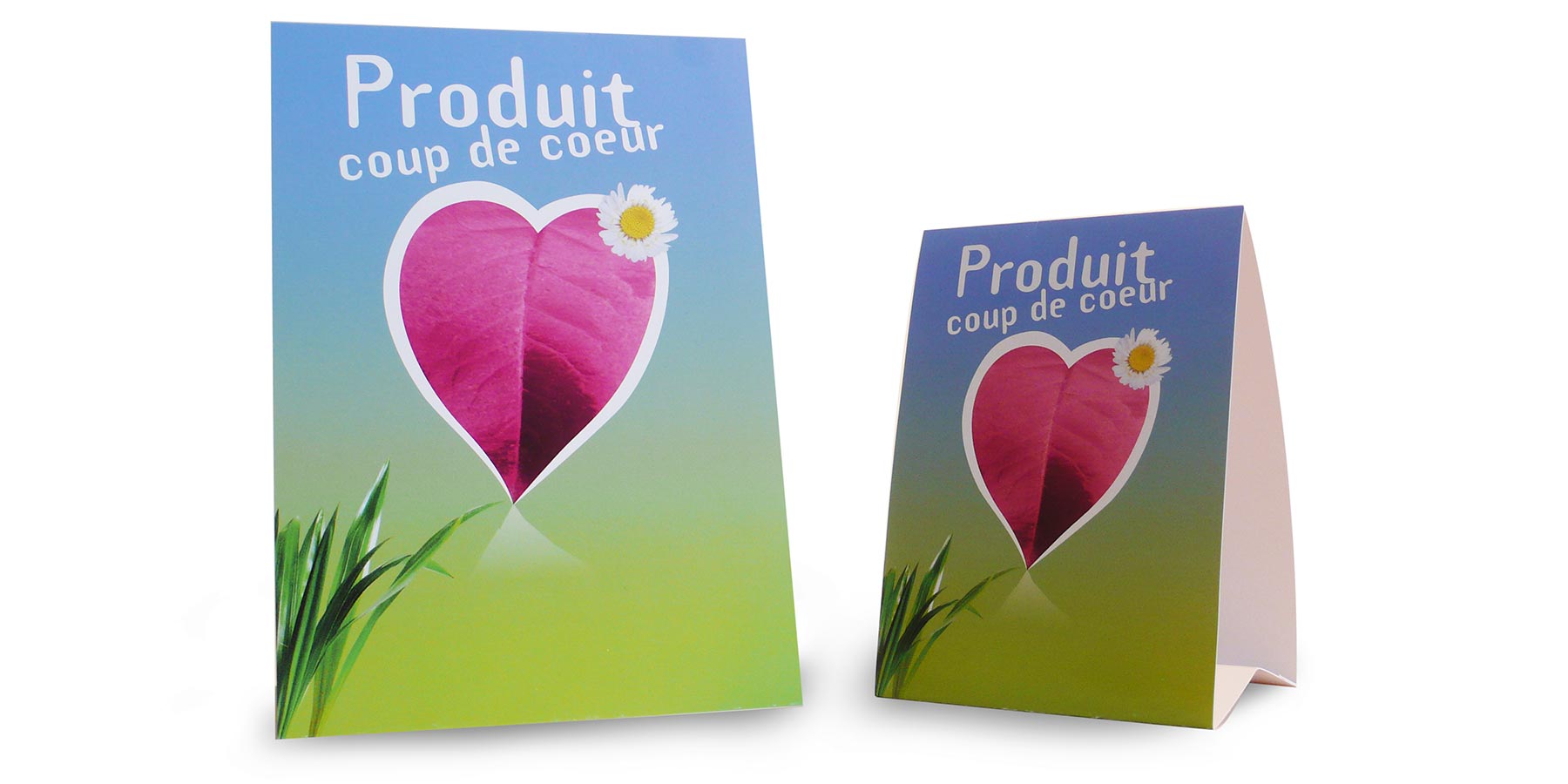 Présentoir créé pour l'association Cap à l'Ouest