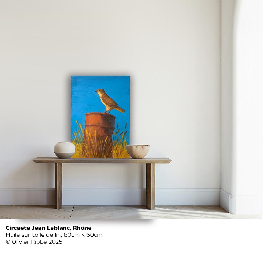 Circaete Jean Leblanc, Rhône
Huile sur toile de lin, 80cm x 60cm