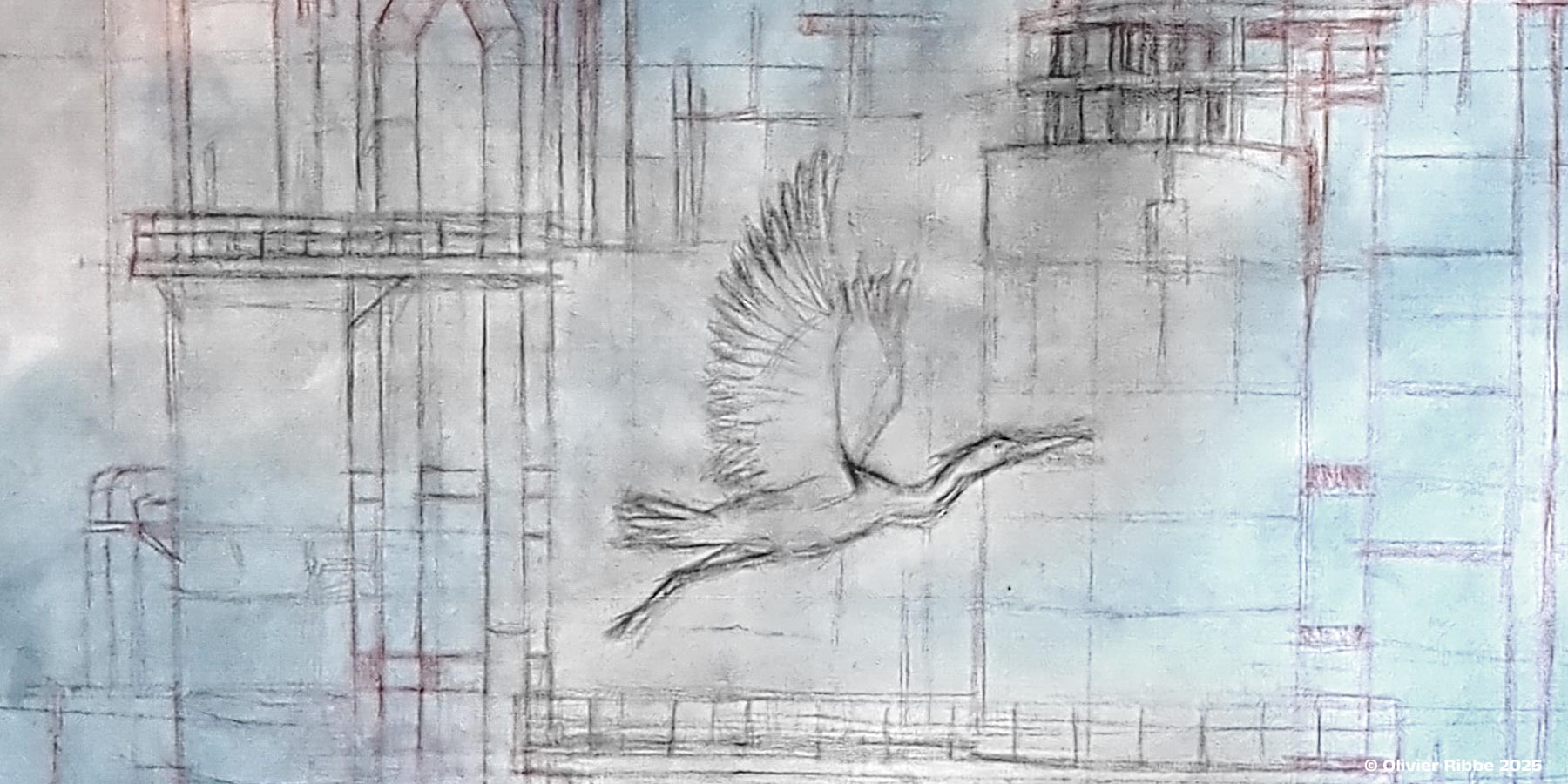 Croquis d'un héron cendré prenant son envol