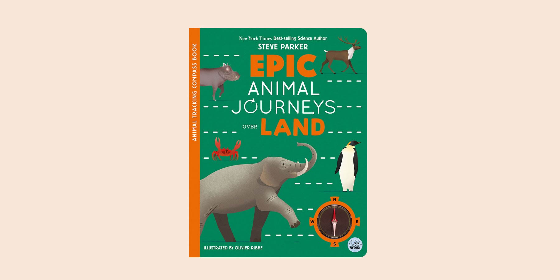 illustration animaux terrestres