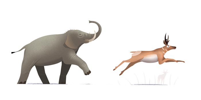 Illustration sur le thème des animaux migrateurs,
projet éditorial : On land, Air and Sea