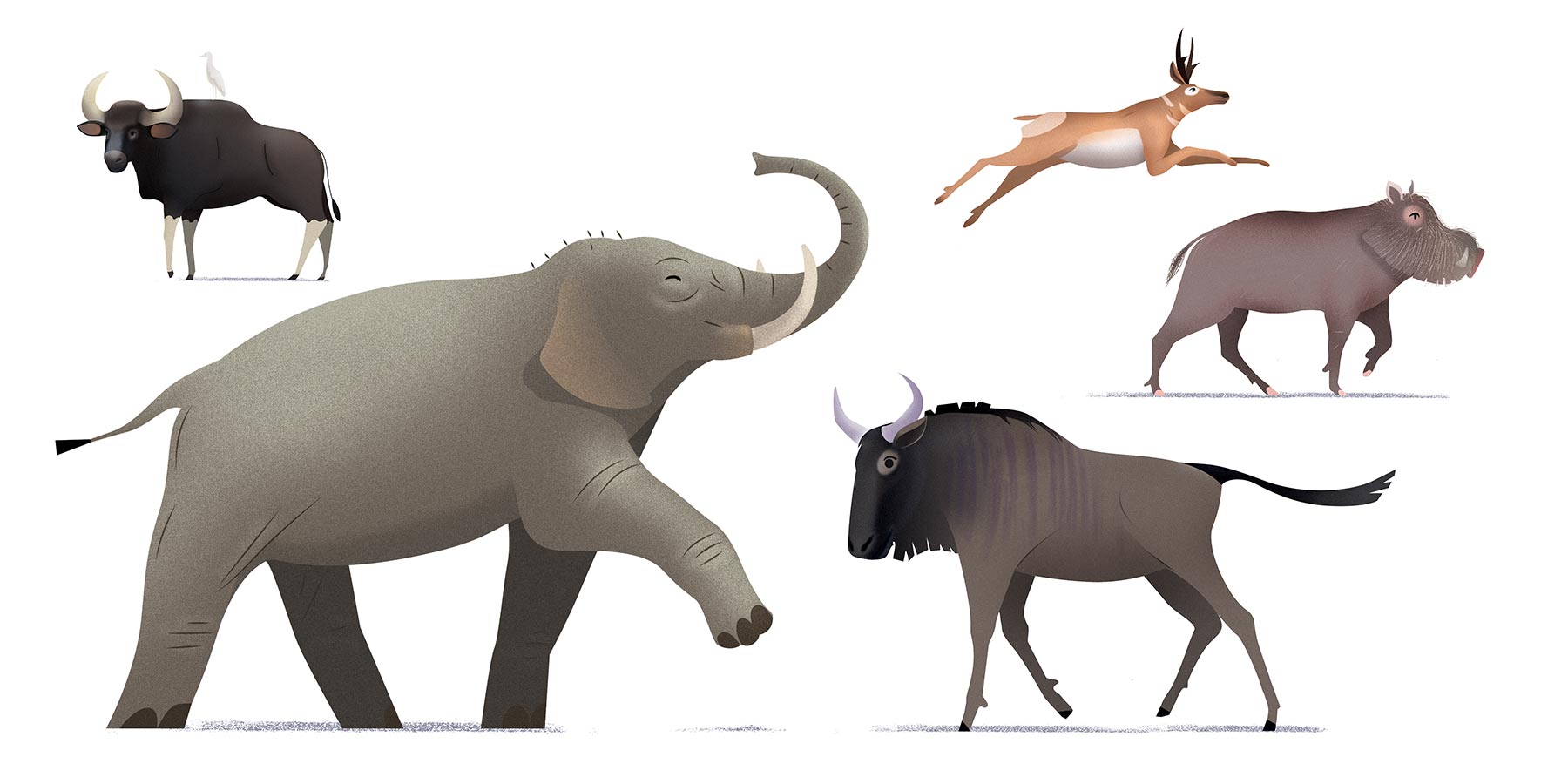 illustration animaux terrestres