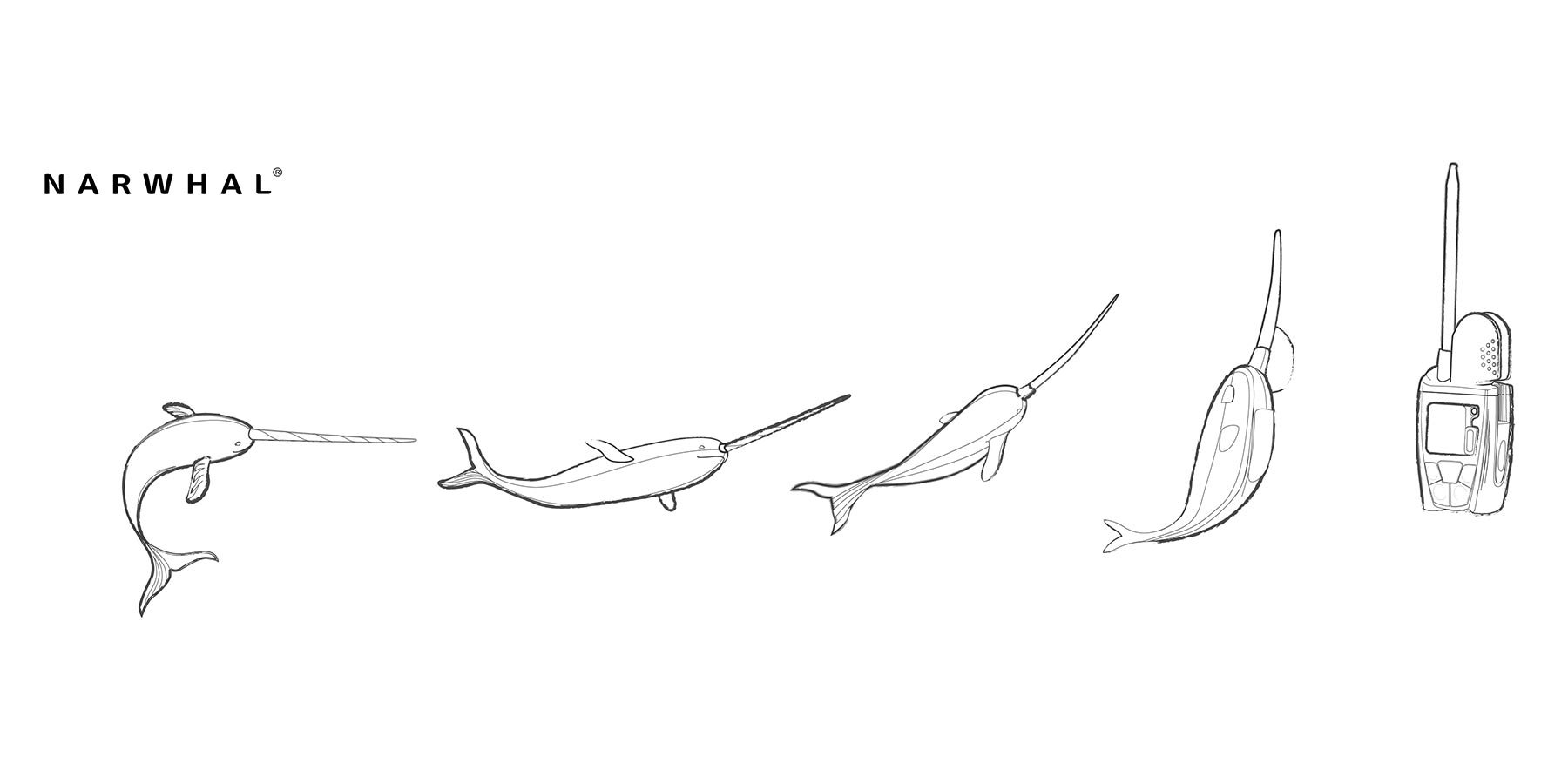 Tracés détaillés de l'illustration créé pour présenter la balise de sauvetage