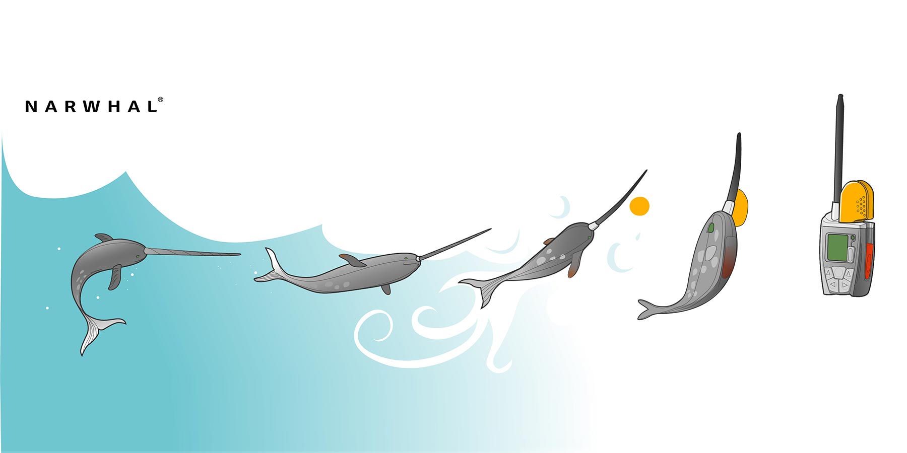 Création d’illustration pour le secteur de la sécurité maritime à Montagny