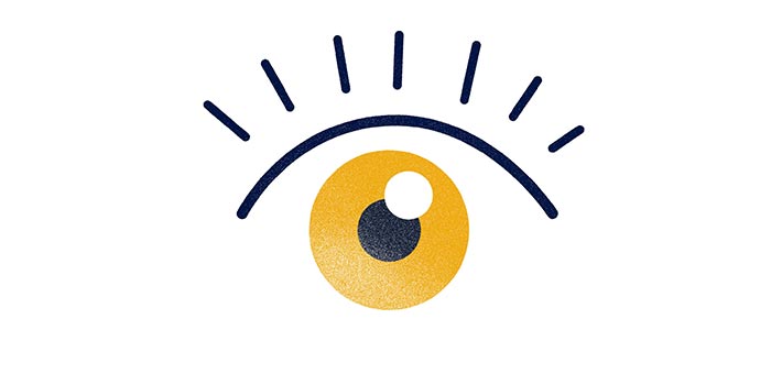 Illustrations destinées à des contenus e-learning sur la thématique des neurosciences