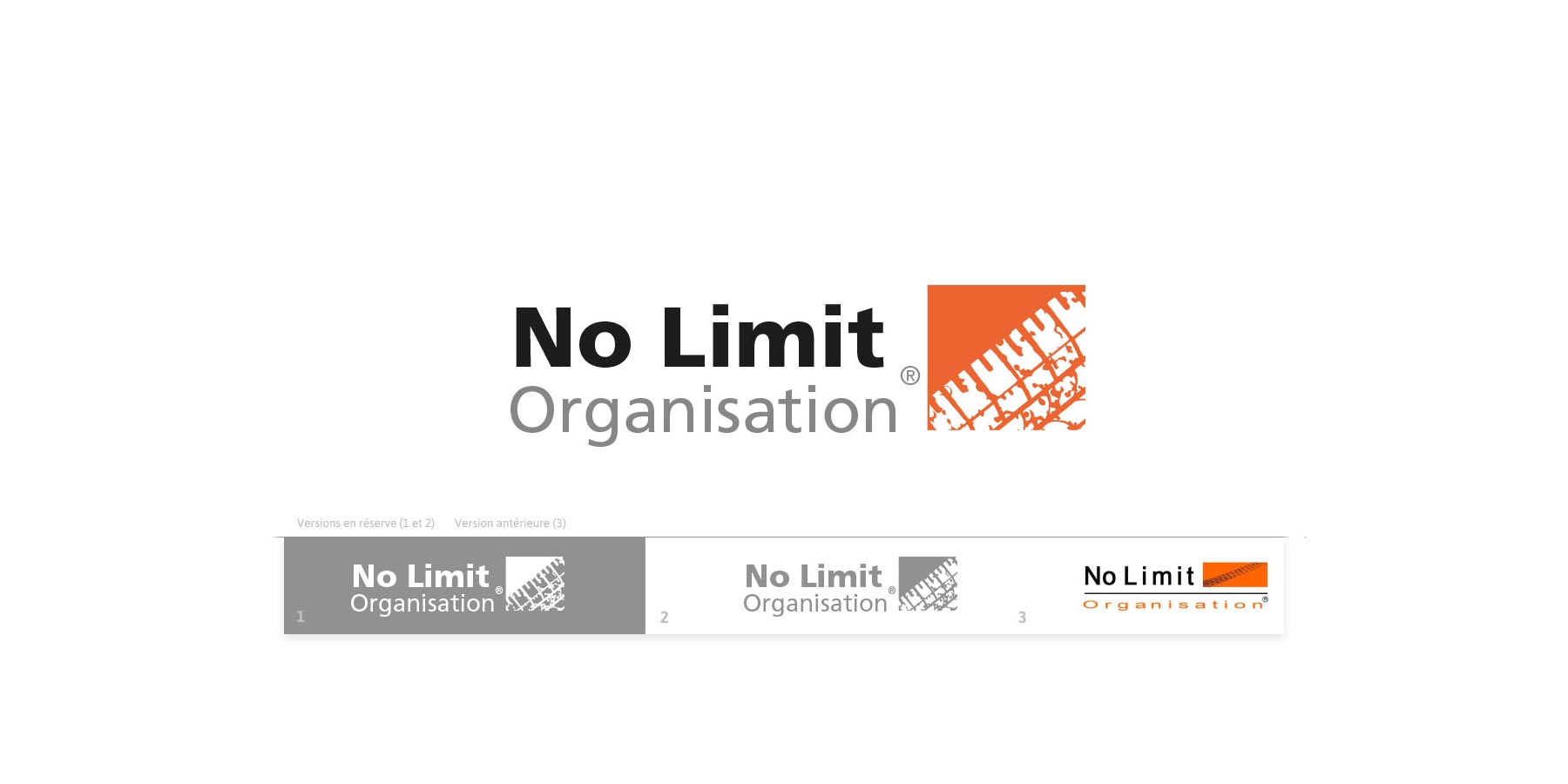 Planche de présentation du logo de l'entrepreise No Limit Organisation