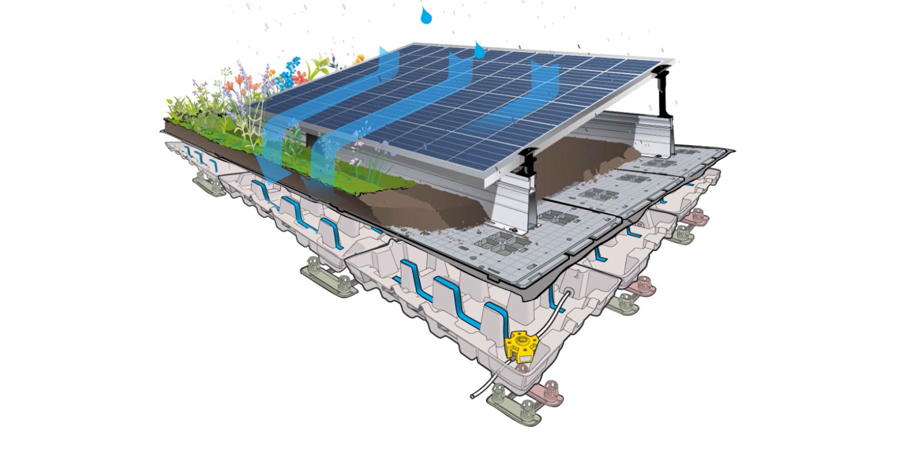 illustration 3D du produit Oasis Biosolar